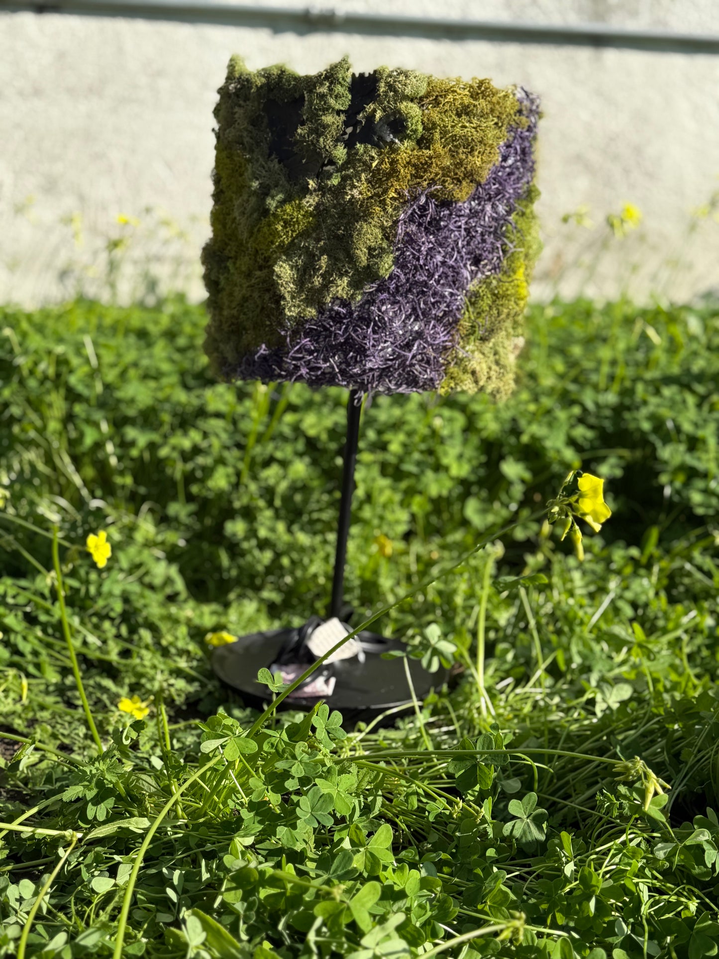 Nightstand Moss Lamp